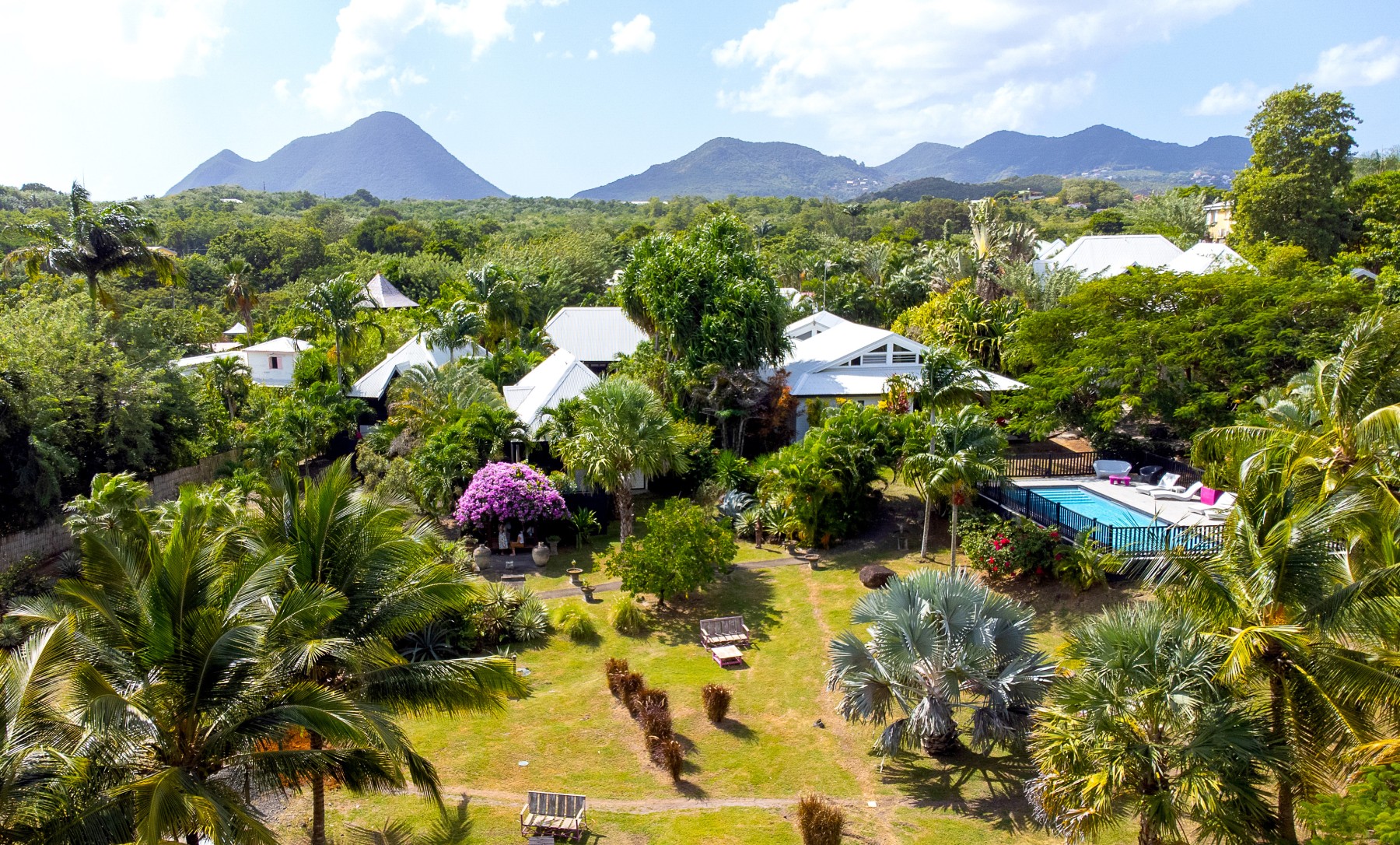 Domaine de la Palmeraie